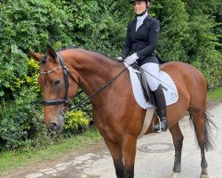 dressage horse Midnight 75 (Oldenburg, 2019, from Secret)