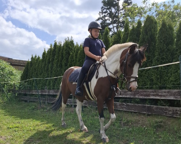 dressage horse Pizula's Marsali (unknown, 2007)