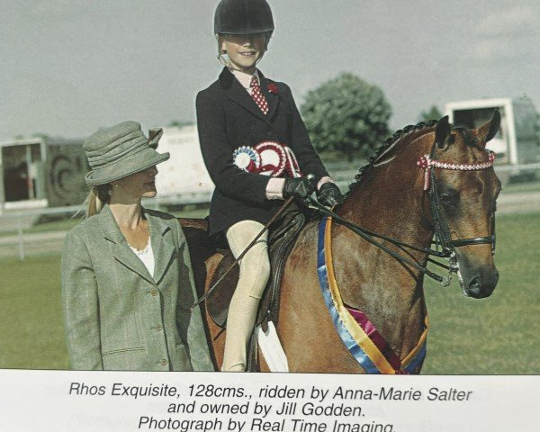 horse Rhos Exquisite (British Riding Pony, 2000, from Moor Hall Catnip)