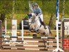 jumper Call Me Claus 3 (German Sport Horse, 2016, from Cantusiero)