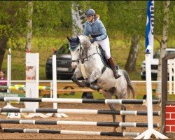 jumper Call Me Claus 3 (German Sport Horse, 2016, from Cantusiero)