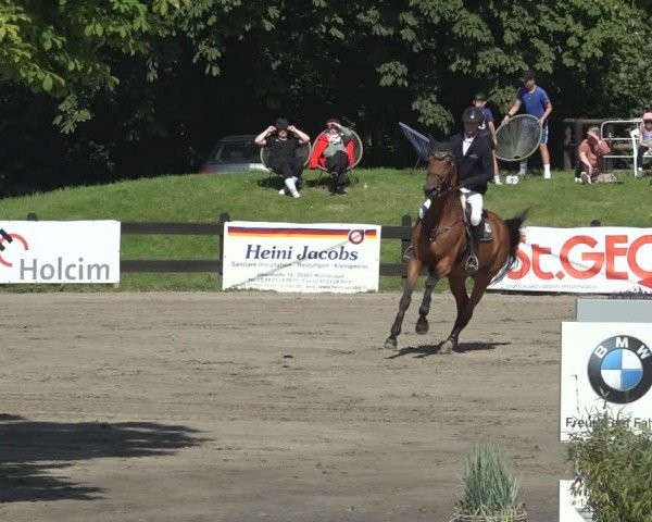 Reitturnier Breitenburg 2024