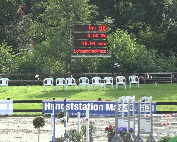 Reitturnier Breitenburg 2024