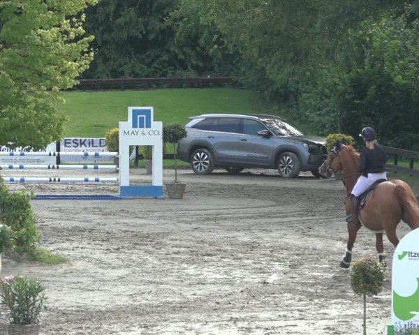 Reitturnier Breitenburg 2024