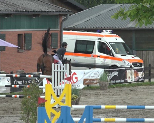 Reitturnier Breitenburg 2024