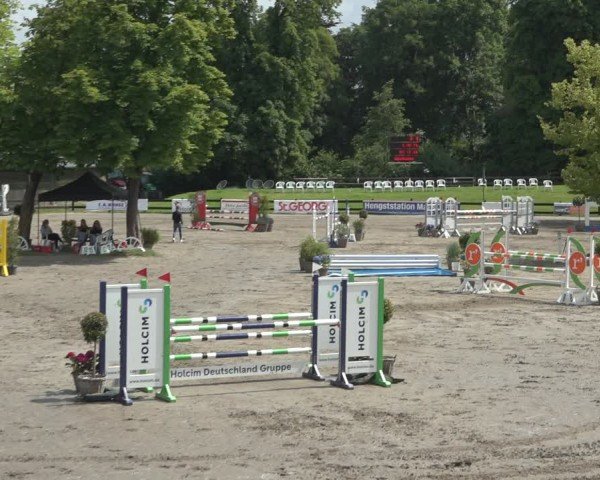 Reitturnier Breitenburg 2024