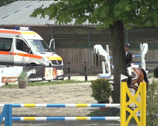 Reitturnier Breitenburg 2024