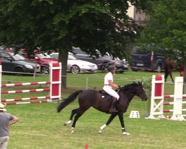 Reitturnier Uenze 2024
