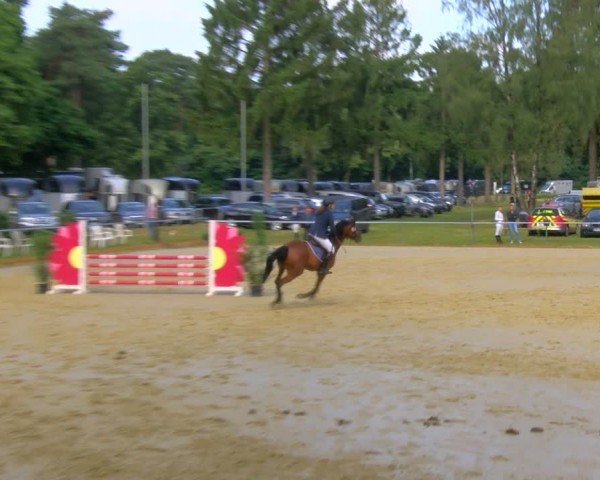 Reitturnier Sonsbeck 2024