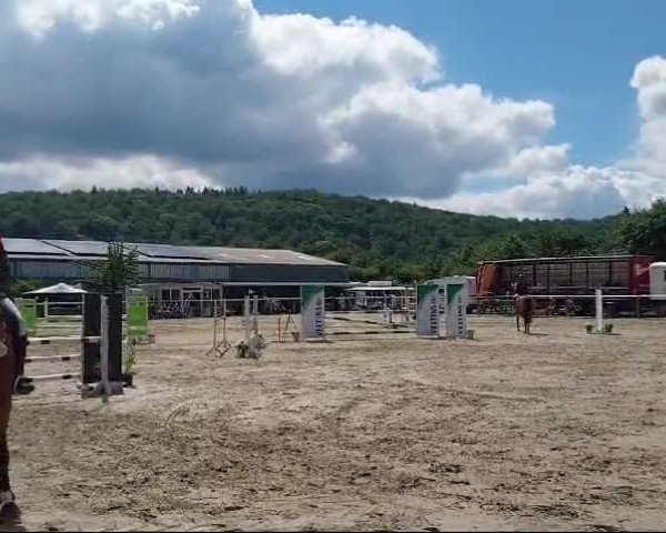 Reitturnier Arnsberg-Müschede 2024