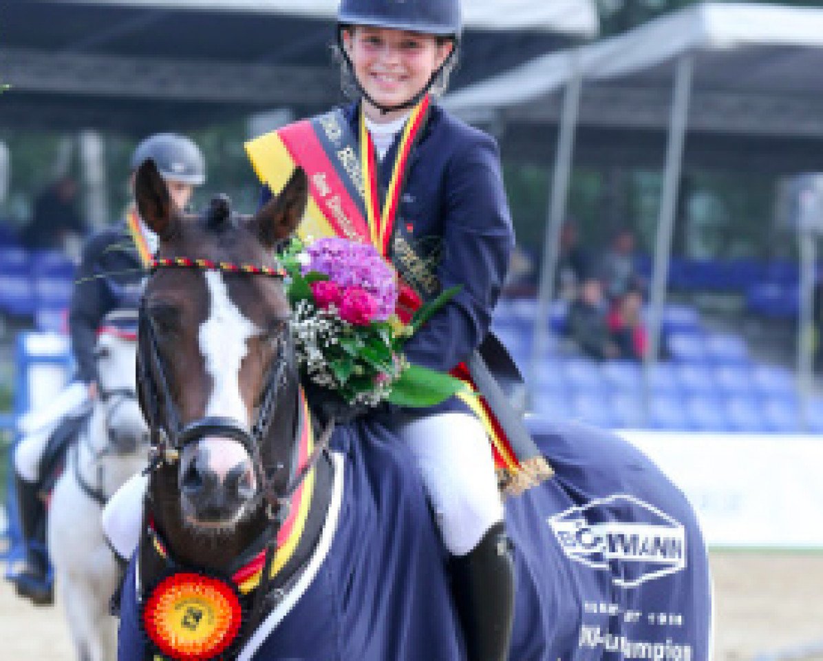 stallion Magic Cornflakes (German Riding Pony, 2008, from Miraculix)