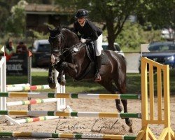 jumper Ehrenrunde N (Hanoverian, 2010, from Escudo I)