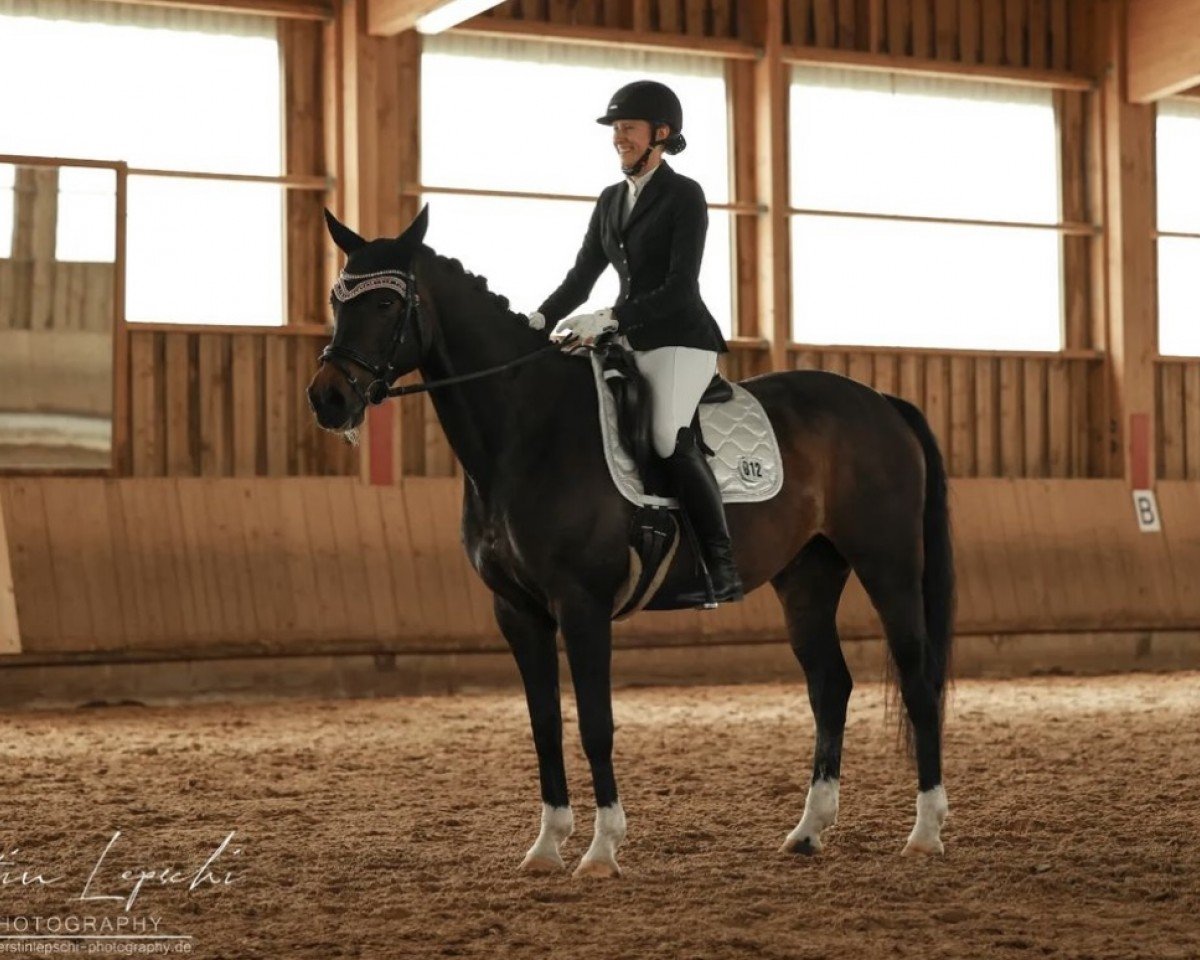 dressage horse Bella Roxanne (Bavarian, 2010, from Blickpunkt 4)