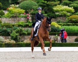 stallion Dohnanyi 5 (Hanoverian, 2014, from De Niro)