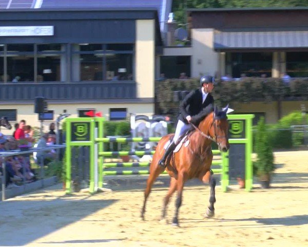 Reitturnier Sonsbeck 2024