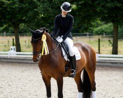 dressage horse Blueberry Muffin 3 (Hanoverian, 2016, from Borsalino)