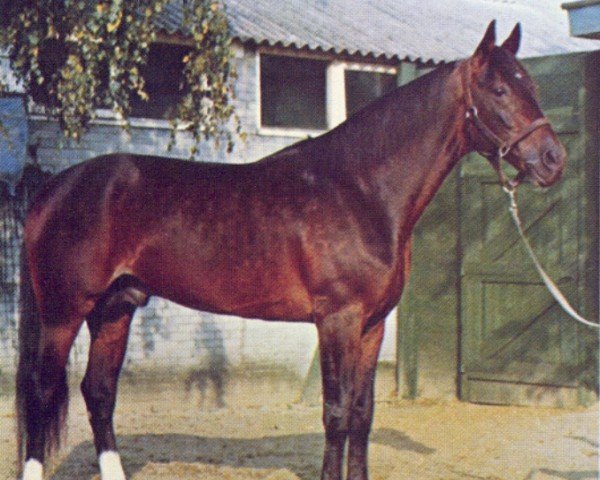 stallion Royal Hanover (US) (American Trotter, 1961, from Dean Hanover US-71679 (ex Mr Watt))