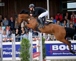 jumper Galantine du Moulin Mm (Oldenburg show jumper, 2016, from Stakkato Gold)