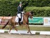 dressage horse Chocoline (German Riding Pony, 2021, from Top Champion)