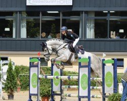 jumper Dream of Dominator (Oldenburg show jumper, 2017, from Dominator 2000 Z)