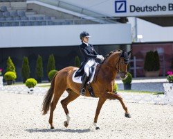 dressage horse Jetset FRH (Hanoverian, 2015, from Glock's Johnson Tn)