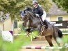 jumper Abby de L'Abbaye (German Sport Horse, 2019, from Adzaro de l'Abbaye)