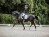 dressage horse Fenyra (German Sport Horse, 2016, from Fashion Maker)