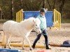 dressage horse Loki (Shetland Pony, 2016)