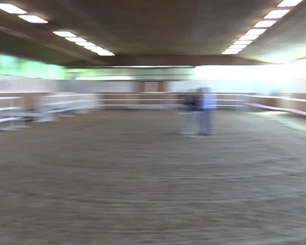 Westfälische Stutenleistungsprüfung Gescher 2024