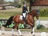 dressage horse Sir Emil (Hanoverian, 2018, from Escolar)