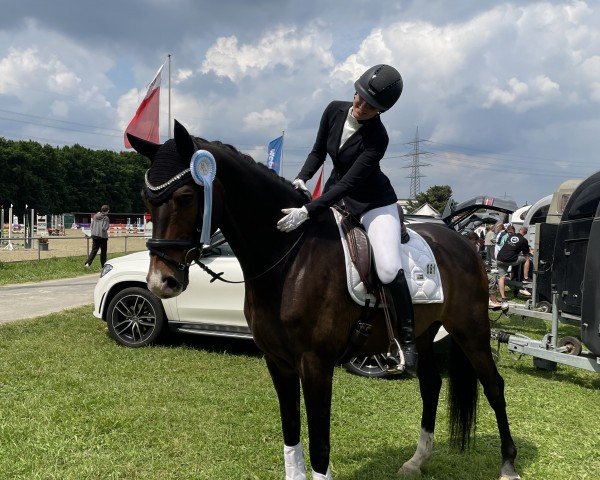 dressage horse La Tino De Luxe (Hanoverian, 2015, from Londontime)