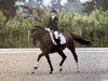 dressage horse Ebensburg Odin (German Riding Pony, 2011, from High Flow's Oxford)