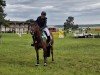 jumper Karim's Kitkat (German Riding Pony, 2018, from Karim van Orchid S)