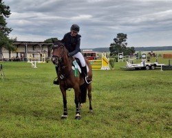 jumper Karim's Kitkat (German Riding Pony, 2018, from Karim van Orchid S)