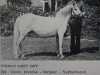 broodmare Criban Grey Ray (Welsh mountain pony (SEK.A), 1963, from Pendock Peter)