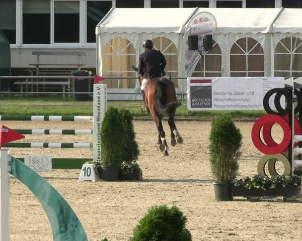 Reitturnier Langenfeld 2024