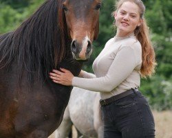 dressage horse Danny's Daiquiri (German Riding Pony, 2022, from Danny Gold)