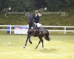 jumper Double Trouble LS (Oldenburg show jumper, 2019, from Diarado)