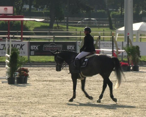Reitturnier Langenfeld 2024