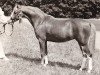 broodmare Tetworth Red Shoes (Welsh-Pony (Section B), 1973, from Tetworth Nijinski)