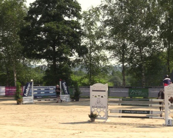 Reitturnier Schwerte-Gut Kückshausen 2024
