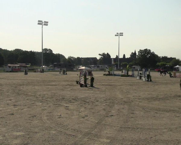 Reitturnier Langenfeld 2024