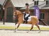 dressage horse Top Model 6 (German Riding Pony, 2020, from Top Champion)