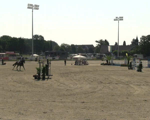 Reitturnier Langenfeld 2024