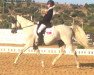 dressage horse Camaron (Spanish Sport Horse, 1999)