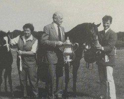 broodmare Boston Bodecia (Welsh-Pony (Section B), 1984, from Downland Mohawk)