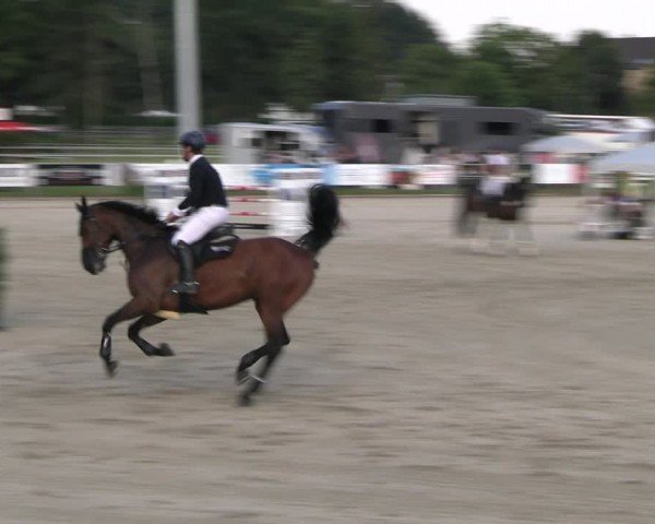 Reitturnier Langenfeld 2024