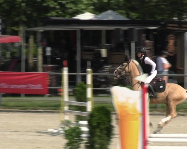 Reitturnier Langenfeld 2024