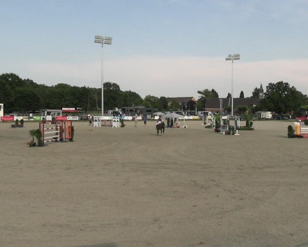 Reitturnier Langenfeld 2024