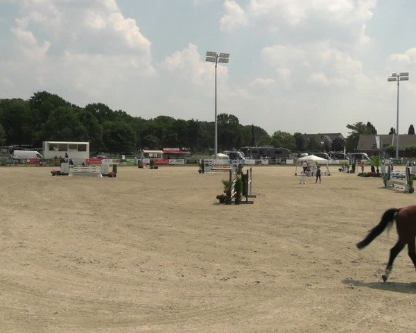 Reitturnier Langenfeld 2024